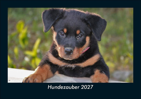 Hundezauber 2027 Fotokalender DIN A5