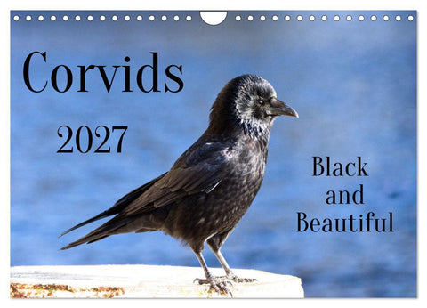 Corvids - Black and Beautiful (Wall Calendar 2027 DIN A4 landscape), CALVENDO 12 Month Wall Calendar