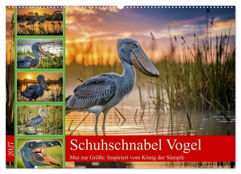 Schuhschnabel Vogel (Wandkalender 2027 DIN A2 quer), CALVENDO Monatskalender