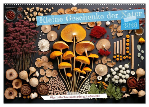 Kleine Geschenke der Natur (Wandkalender 2026 DIN A2 quer), CALVENDO Monatskalender