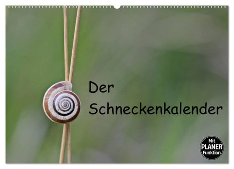 Der Schneckenkalender (Wandkalender 2026 DIN A2 quer), CALVENDO Monatskalender