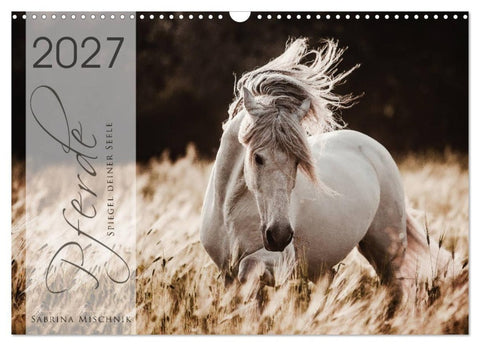 Spiegel deiner Seele (Wandkalender 2027 DIN A3 quer), CALVENDO Monatskalender