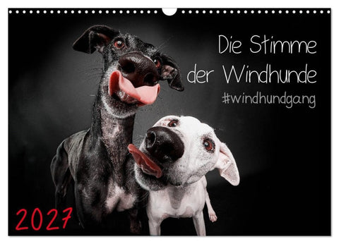 Die Stimme der Windhunde (Wandkalender 2027 DIN A3 quer), CALVENDO Monatskalender