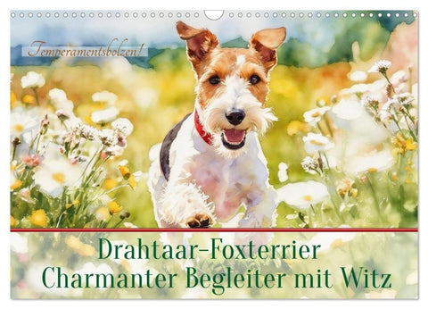Drahthaar-Foxterrier charmanter Begleiter mit Witz (Wandkalender 2027 DIN A3 quer), CALVENDO Monatskalender