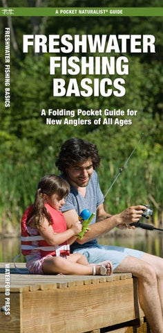 Freshwater Fishing Basics
