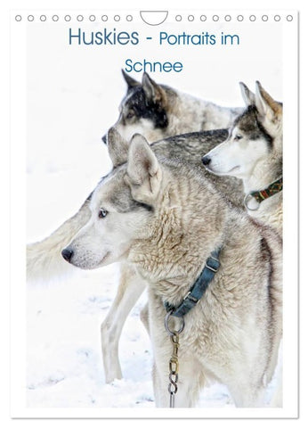 Huskies - Portraits im Schnee (Wandkalender 2027 DIN A4 hoch), CALVENDO Monatskalender