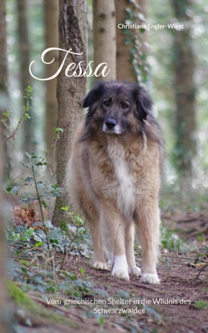 Tessa