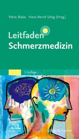 Leitfaden Schmerzmedizin
