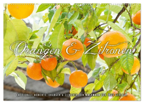 Emotionale Momente: Orangen & Zitronen. (Wandkalender 2027 DIN A2 quer), CALVENDO Monatskalender