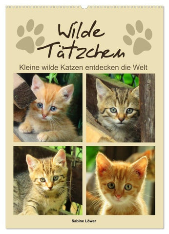 Wilde Tätzchen, kleine wilde Katzen entdecken die Welt (Wandkalender 2027 DIN A2 hoch), CALVENDO Monatskalender