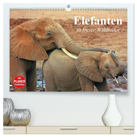Elefanten in freier Wildbahn (hochwertiger Premium Wandkalender 2027 DIN A2 quer), Kunstdruck in Hochglanz