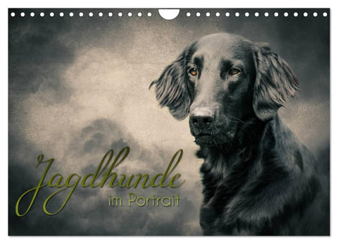 Jagdhunde im Portrait (Wandkalender 2026 DIN A4 quer), CALVENDO Monatskalender