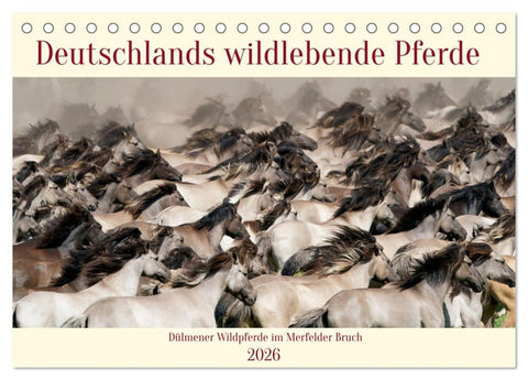 Deutschlands wildlebende Pferde (Tischkalender 2026 DIN A5 quer), CALVENDO Monatskalender