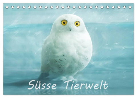 Süsse Tierwelt / CH-Version / Geburtstagskalender (Tischkalender 2026 DIN A5 quer), CALVENDO Monatskalender