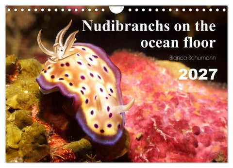 Nudibranchs on the ocean floor (Wall Calendar 2027 DIN A4 landscape), CALVENDO 12 Month Wall Calendar