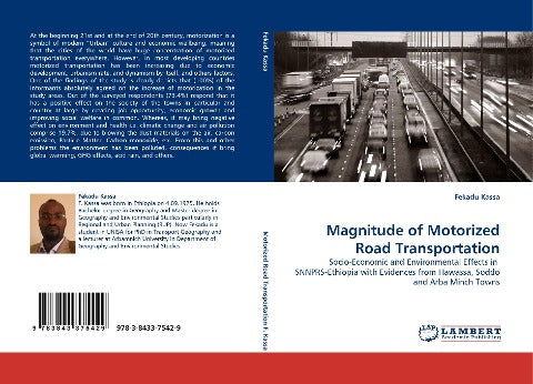 Magnitude of Motorized Road Transportation