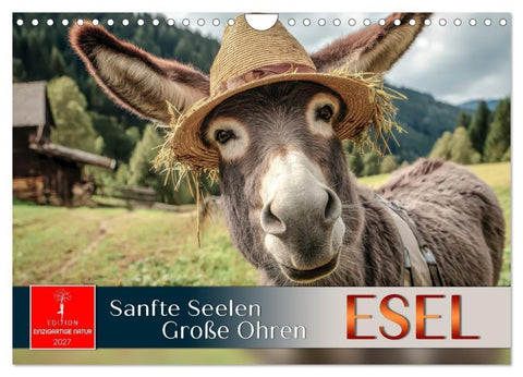Esel - sanfte Seelen, große Ohren (Wandkalender 2027 DIN A4 quer), CALVENDO Monatskalender