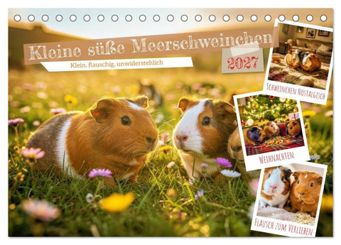 Kleine süße Meerschweinchen (Tischkalender 2027 DIN A5 quer), CALVENDO Monatskalender