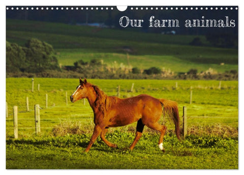 Our farm animals (Wall Calendar 2026 DIN A3 landscape), CALVENDO 12 Month Wall Calendar