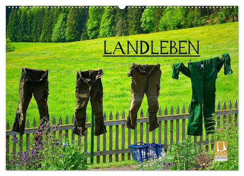 Landleben (Wandkalender 2026 DIN A2 quer), CALVENDO Monatskalender