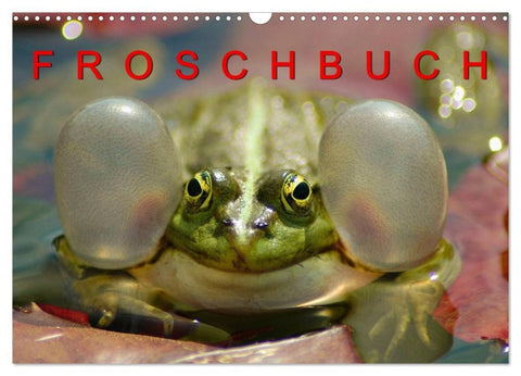 FROSCHBUCH (Wandkalender 2026 DIN A3 quer), CALVENDO Monatskalender
