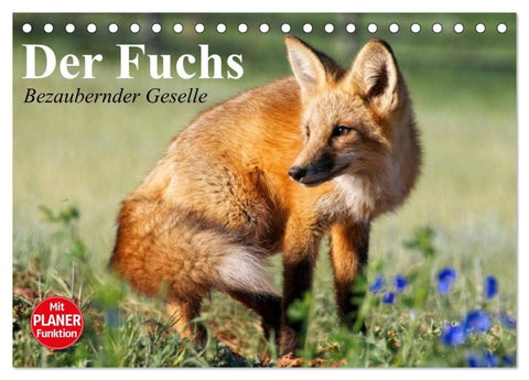 Der Fuchs. Bezaubernder Geselle (Tischkalender 2027 DIN A5 quer), CALVENDO Monatskalender