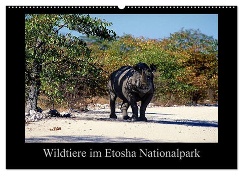 Wildtiere im Etosha Nationalpark (Wandkalender 2027 DIN A2 quer), CALVENDO Monatskalender