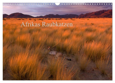 Afrikas Raubkatzen (Wandkalender 2027 DIN A3 quer), CALVENDO Monatskalender