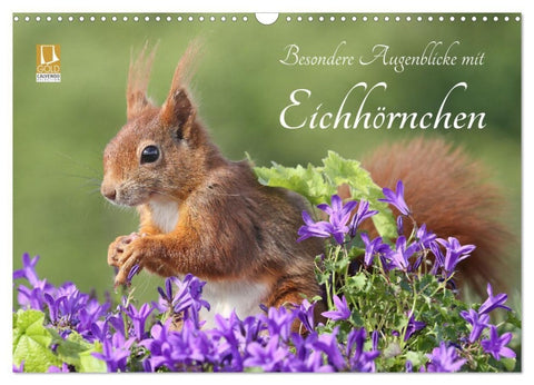 Besondere Augenblicke mit Eichhörnchen (Wandkalender 2027 DIN A3 quer), CALVENDO Monatskalender