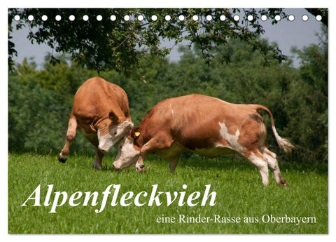 Alpenfleckvieh (Tischkalender 2027 DIN A5 quer), CALVENDO Monatskalender