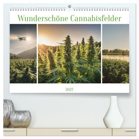 Wunderschöne Cannabisfelder (hochwertiger Premium Wandkalender 2027 DIN A2 quer), Kunstdruck in Hochglanz
