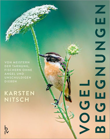 Vogelbegegnungen