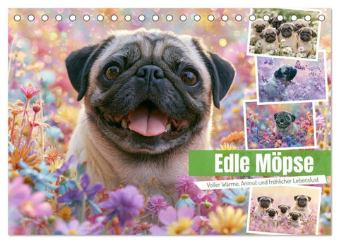 Edle Möpse (Tischkalender 2027 DIN A5 quer), CALVENDO Monatskalender