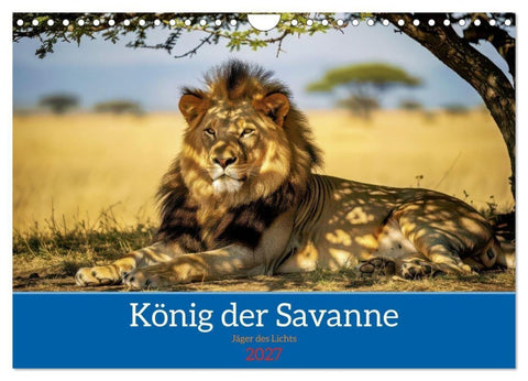 Löwen der Savanne (Wandkalender 2027 DIN A4 quer), CALVENDO Monatskalender
