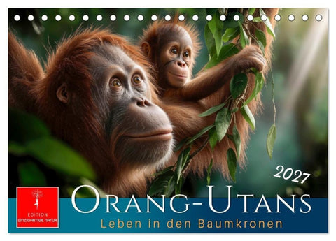 Orang Utans - Leben in den Baumkronen (Tischkalender 2027 DIN A5 quer), CALVENDO Monatskalender