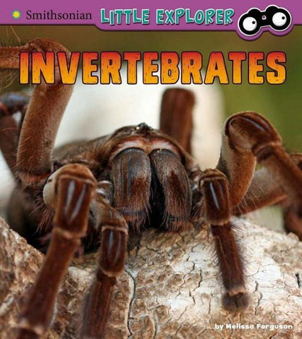 Invertebrates