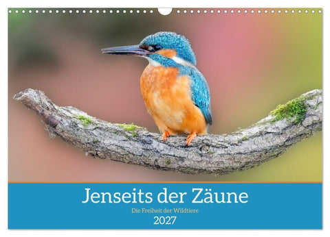 Jenseits der Zäune (Wandkalender 2027 DIN A3 quer), CALVENDO Monatskalender