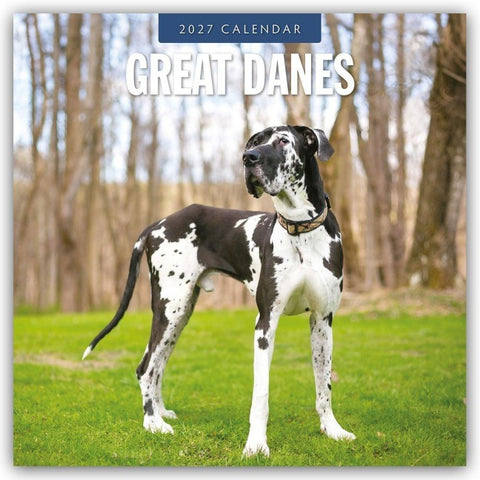 Great Danes – Deutsche Dogge 2027 – 16-Monatskalender