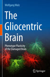 The Gliocentric Brain
