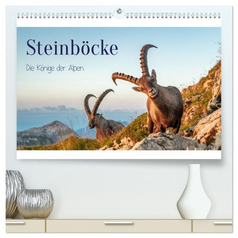 Steinböcke - Die Könige der Alpen (hochwertiger Premium Wandkalender 2027 DIN A2 quer), Kunstdruck in Hochglanz