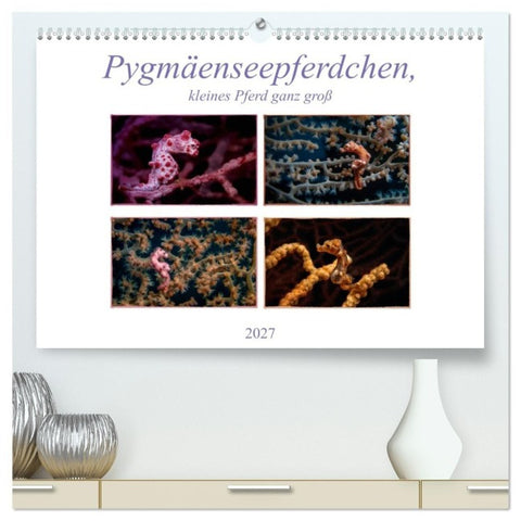 Pygmäenseepferdchen, kleines Pferd ganz groß (hochwertiger Premium Wandkalender 2027 DIN A2 quer), Kunstdruck in Hochglanz