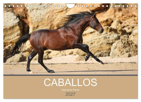 Caballos Spanische Pferde 2027 (Wandkalender 2027 DIN A4 quer), CALVENDO Monatskalender