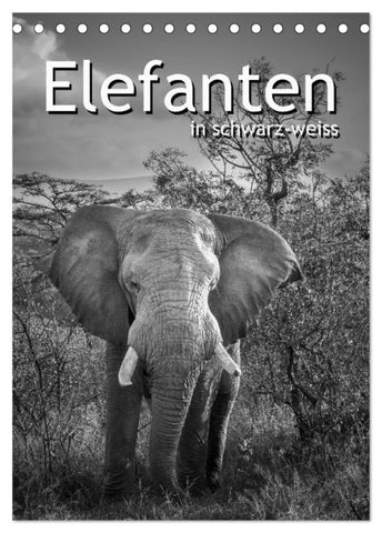 Elefanten in schwarz-weiss (Tischkalender 2026 DIN A5 hoch), CALVENDO Monatskalender