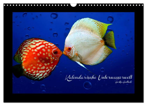 Kalendarische Unterwasserwelt (Wandkalender 2026 DIN A3 quer), CALVENDO Monatskalender