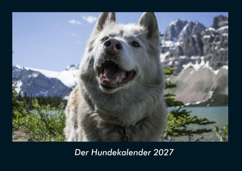 Der Hundekalender 2027 Fotokalender DIN A4