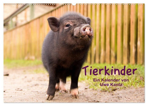 Tierkinder (Wandkalender 2027 DIN A2 quer), CALVENDO Monatskalender