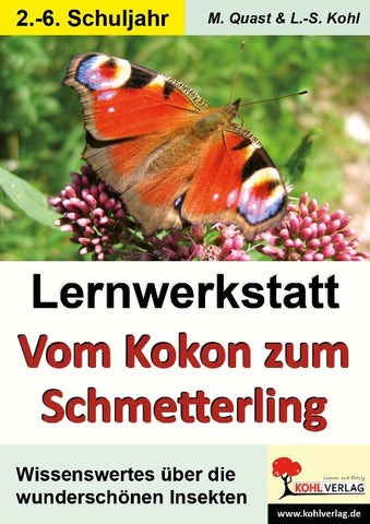 Lernwerkstatt Schmetterlinge