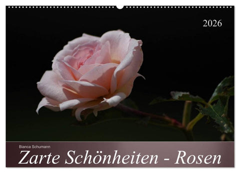 Zarte Schönheiten - Rosen (Wandkalender 2026 DIN A2 quer), CALVENDO Monatskalender