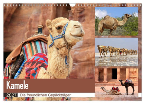 Kamele - Die freundlichen Gepäckträger (Wandkalender 2027 DIN A3 quer), CALVENDO Monatskalender