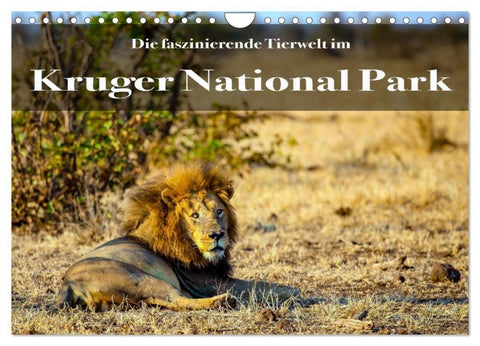 Faszinierende Tierwelt des Kruger National Parks (Wandkalender 2027 DIN A4 quer), CALVENDO Monatskalender